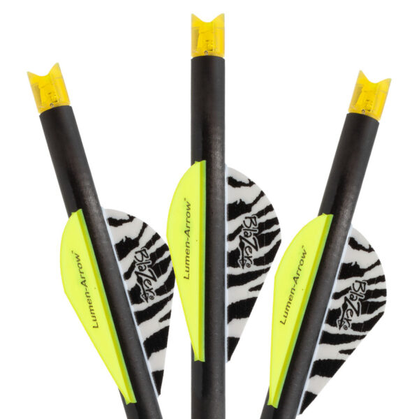 Arrow LumenArrow XB 20 Moon 3pk