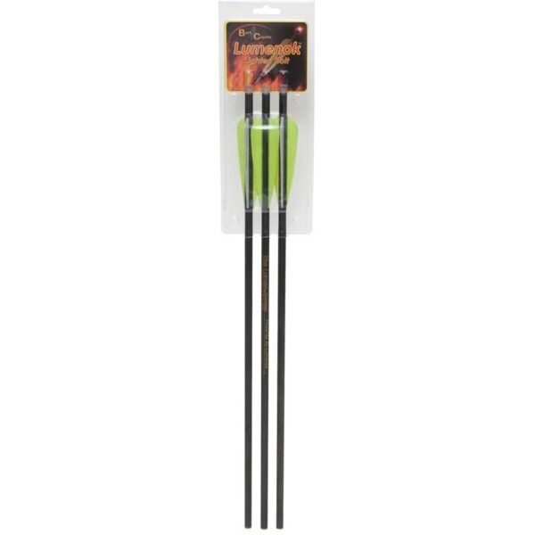 Arrow LumenArrow XB 20 Flat 3pk