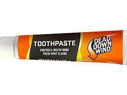 Scent DDW e2 Toothpaste