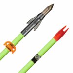 Fish Arrow AMS AnKor QT SS Fluorescent