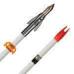 Fish Arrow AMS AnKor QT SS White