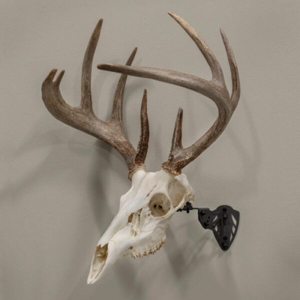Hanger Allen EZ Trophy Skull Mount Black