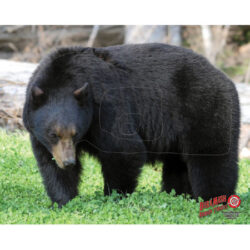 Target Dura Mesh Black Bear