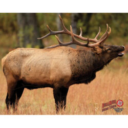 Target Dura Mesh Elk