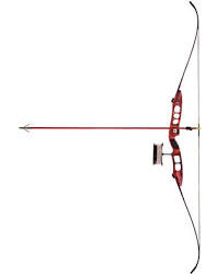 Bow Cajun Fish Stick BowFishing Kit 45#