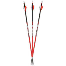 Arrow CX Max Red SD 350/340 36Pk
