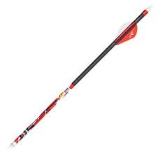 Shaft CX D-Stroyer MX Hunter 350 Dz*24