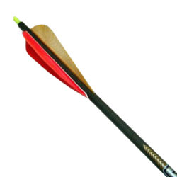 Arrow Magnus Bullhead 4F w/Feather 300