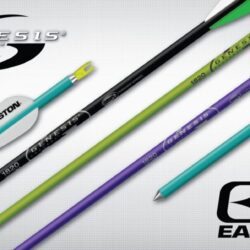 Arrow Easton Gensis2 Purple 36pk*25