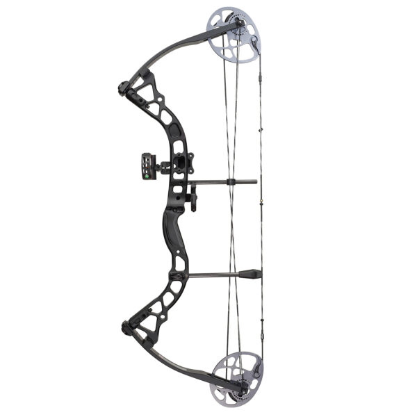 Bow Diamond Prism Black LH