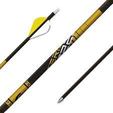 Shaft Gold Tip Series 22 Pro