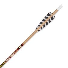Arrow Gold Tip Tradional Classsic XT 4" Ft 600 6P