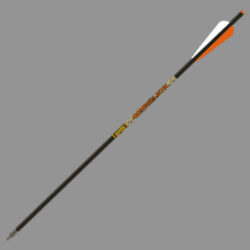 Bolt Gold Tip Ballistic 22" Moon&Flat 6P