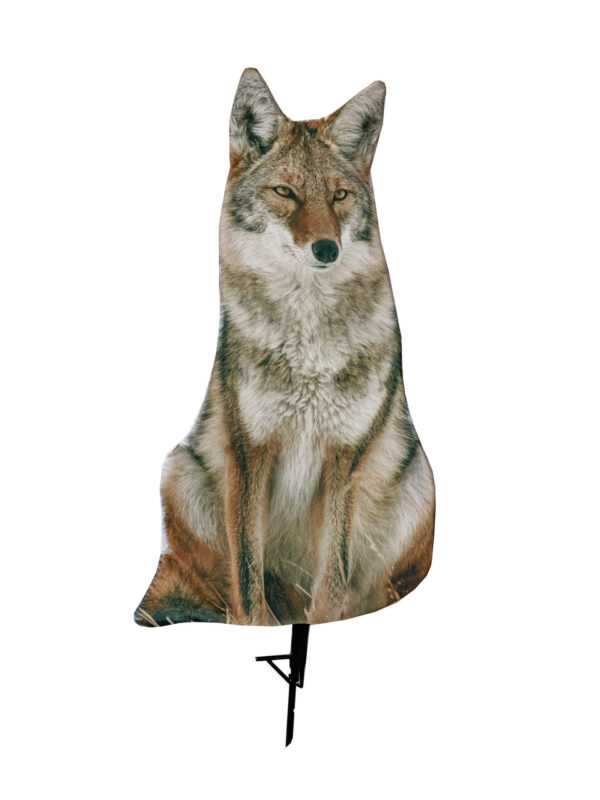 Decoy Montana Sitting Coyote