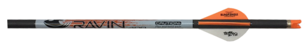 Bolt Ravin .001 400gr 6pk