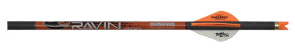 Bolt Ravin .003 400gr 6pk
