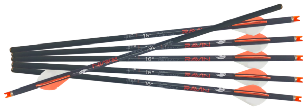 Bolt Ravin R18 .003 6pk