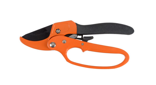 Shears 30-06 Ratchet
